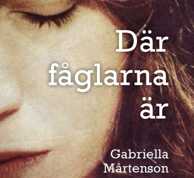 LÄSTIPS: ”Där fåglarna är” – om livet med schizoaffektivt syndrom