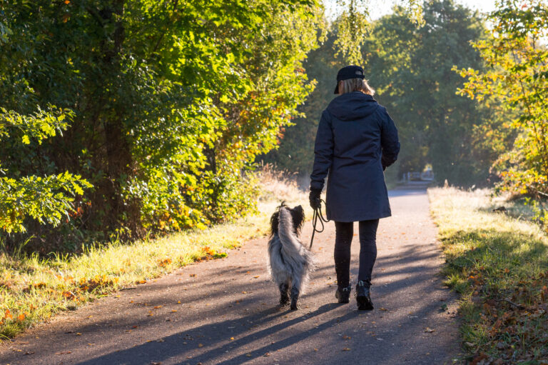 Lecanemab har godkännandevåg i världen