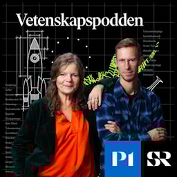 Så görs djurförsök i Sverige – och arbetet med att ersätta dem